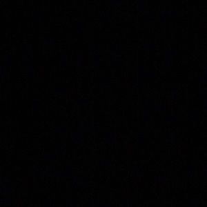 Meet your Posher, Donald